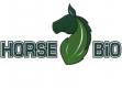 Horse bio