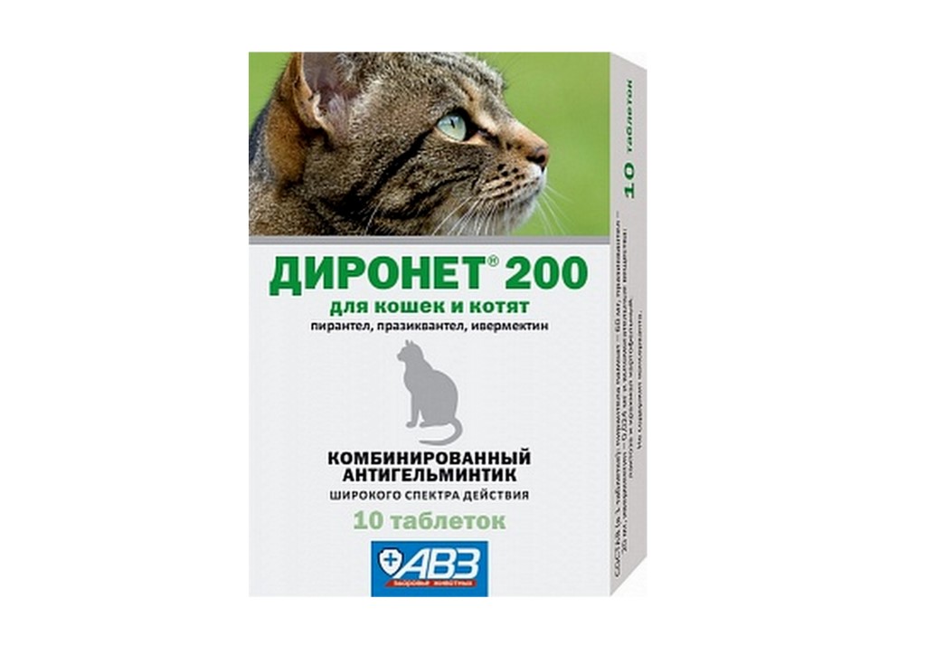 От глистов для кошек широкого спектра. Диронет 200 д/Кош и котят 10таб.. Диронет 200 таблеток для собак. Таблетки АВЗ диронет 200, для собак мелких пород и щенков. Агроветзащита диронет 200 таблетки для кошек и котят.