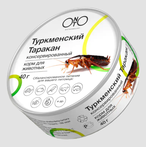 Туркменский таракан консервированный ONTO, 40 г