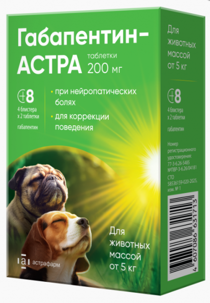 Габапентин-АСТРА таблетки 200 мг (4 блистера по 2 таб.)