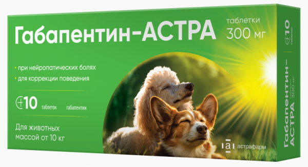 Габапентин-АСТРА таблетки 300 мг (1 блистер по 10 таб.)