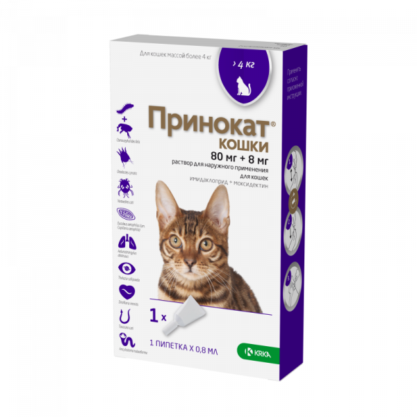 Принокат 80 мг капли для кошек более 4 кг