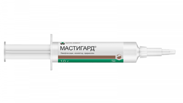 Мастигард шприц 10 г (12 шт/упак)